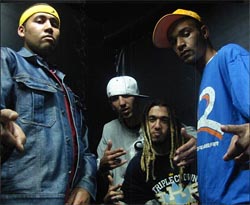 casa crew